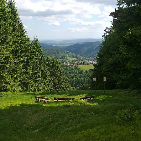 Hotel Zum Schneekopf 3*