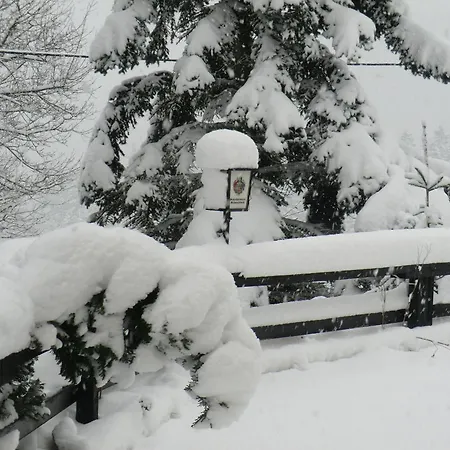 Zum Schneekopf Hotel