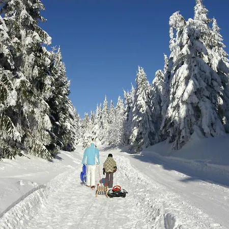 Отель Zum Schneekopf 
