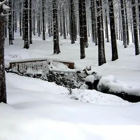 Zum Schneekopf 