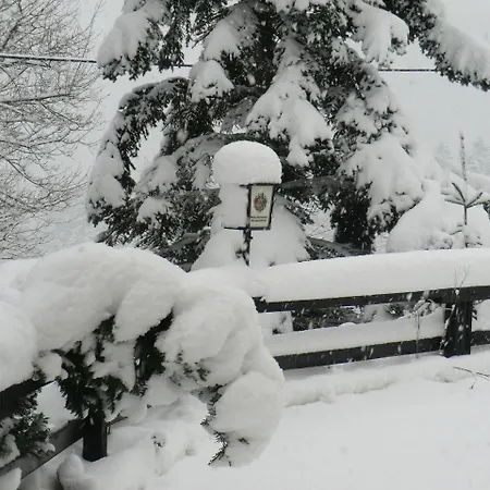 호텔 Zum Schneekopf 