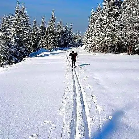 Zum Schneekopf 