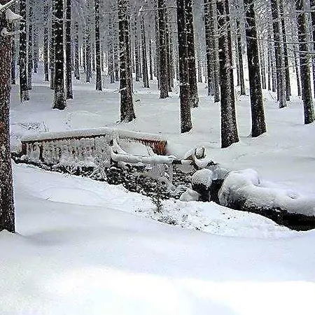 Zum Schneekopf 