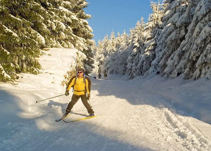 Zum Schneekopf 3* Gehlberg