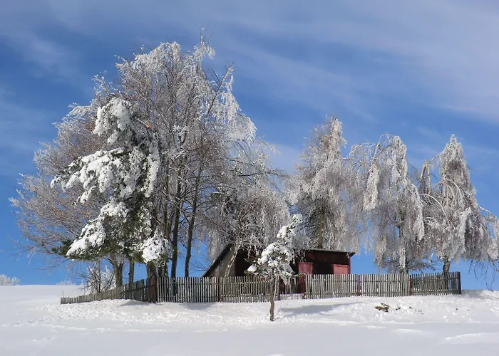 Szálloda Zum Schneekopf 