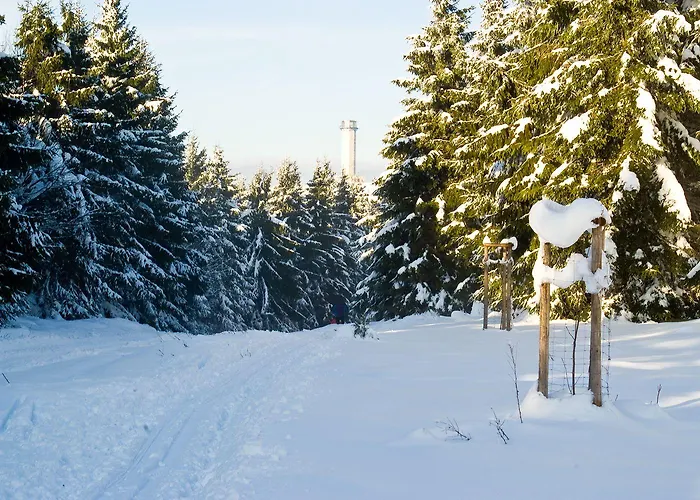 Отель Zum Schneekopf 