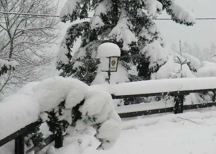 Szálloda Zum Schneekopf 